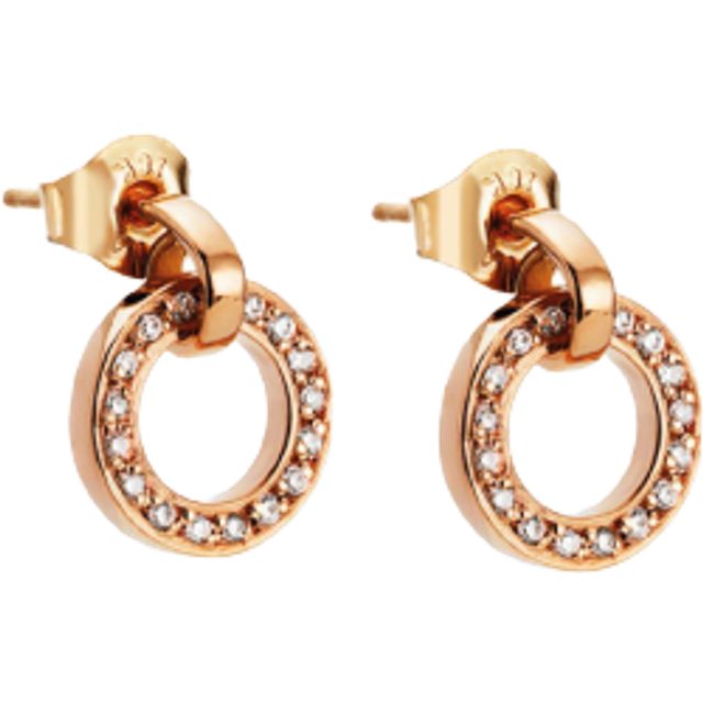 Efva Attling Ring Around & Stars Earrings ONE SIZE - GULD