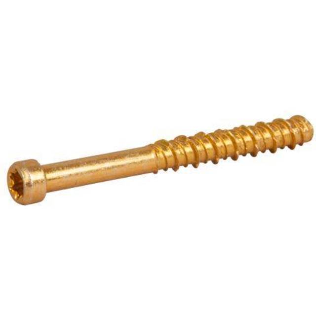 ESSVE ECS-CY Betongskruv 5(4) mm Ø, gulförzinkad 50 mm, 100-pack