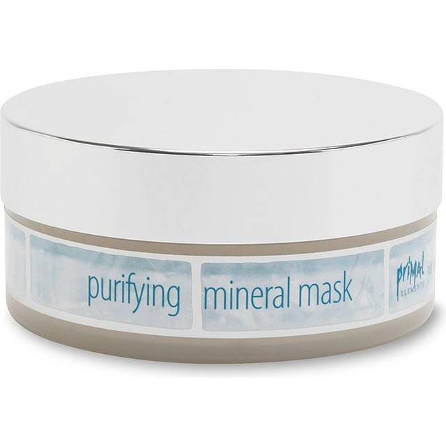 Primal Elements Spa Purifying Mineral Mask