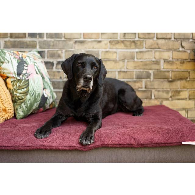 Siccaro FlexDog Mat, Zinfandel red, 70 X 110 cm