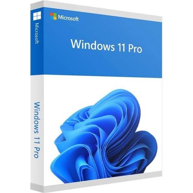 Windows 11 Pro - 64 bit - Norska - Flyttbar - Retail - USB-nedaddning