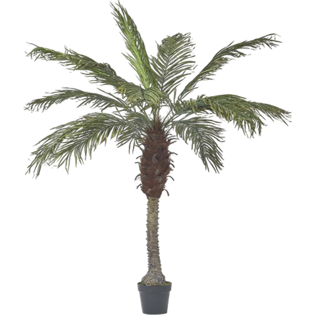 Homescapes Artificial Palm Tree Phoenix Canariensis Plant 160 cm Tall - Green