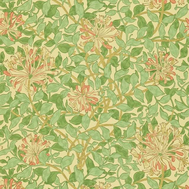Honeysuckle Green/Beige/Pink - DMC1HS103