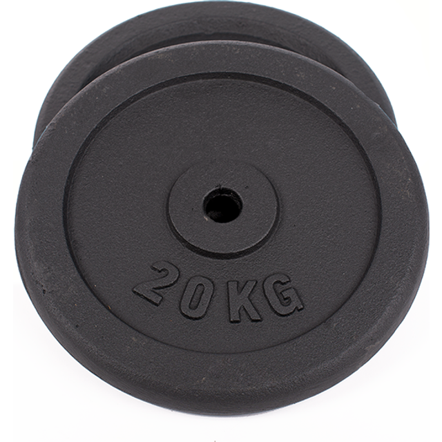 Viktskiva 25 mm 0,5–20 kg