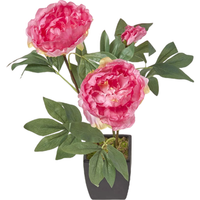 Homescapes Pink Artificial Peonies in Decorative Black Pot, 48 cm Tall