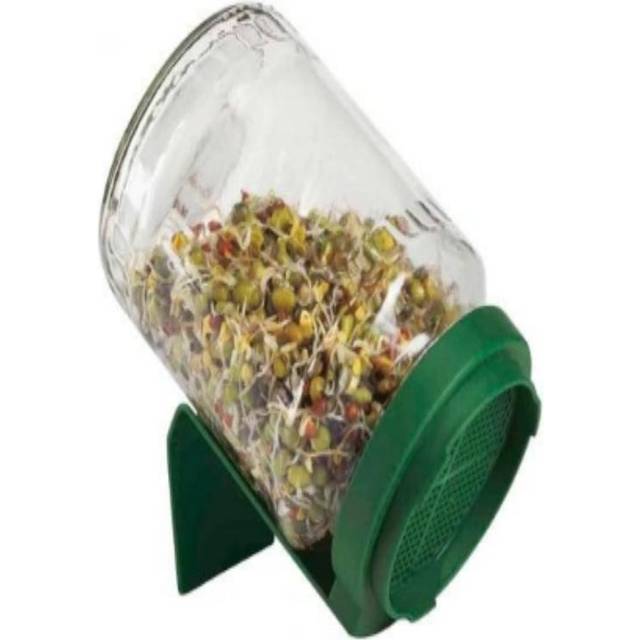 A Vogel Groddburk i glas