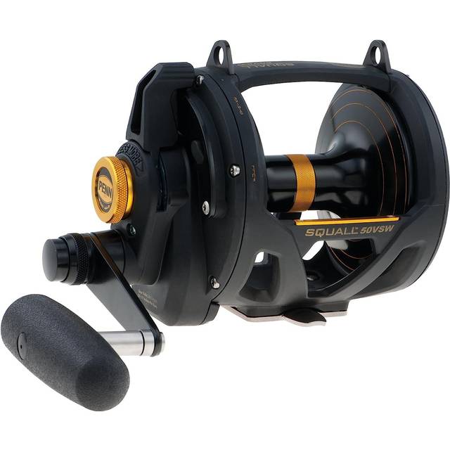 Penn Squall Lever Drag 2 Speed multirulle 50VSW
