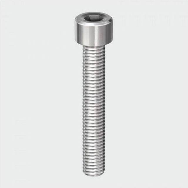 TIMCO Socket Screws & Hex Nuts Cap Stainless Steel - 616CAPSSP - Pack- you get 7