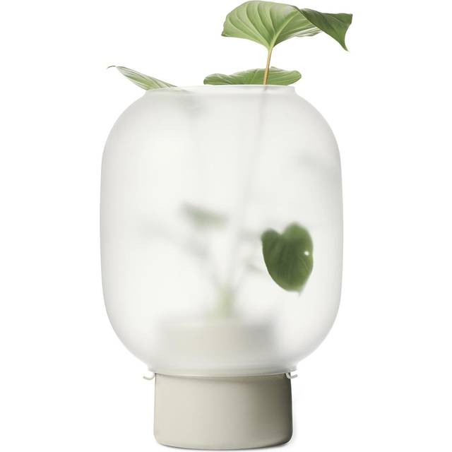 Gejst Nebl Blomkrukskydd Stor Grå