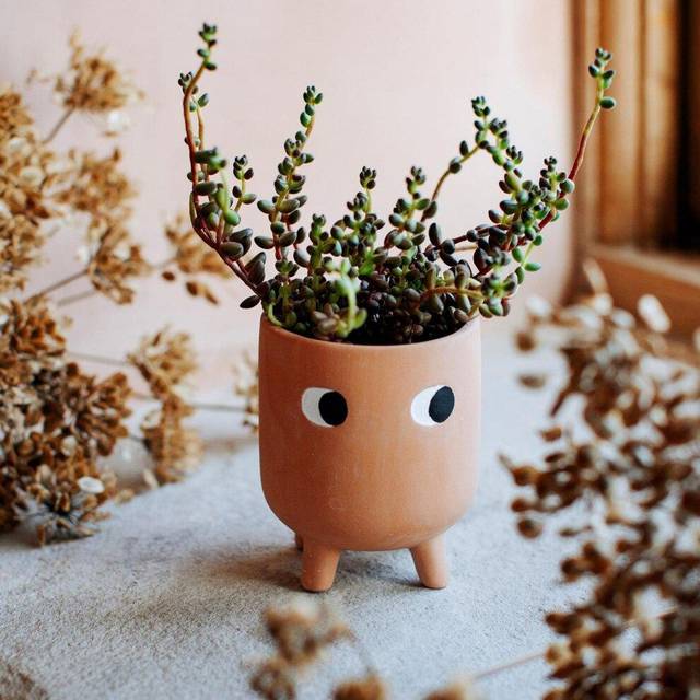 Little Leggy Terracotta Planter