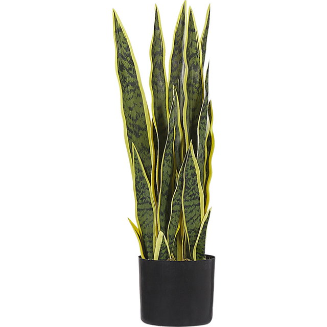 Konstgjord växt Snake Plant 15x15x63 cm - Balkongblommor Grön,Svart