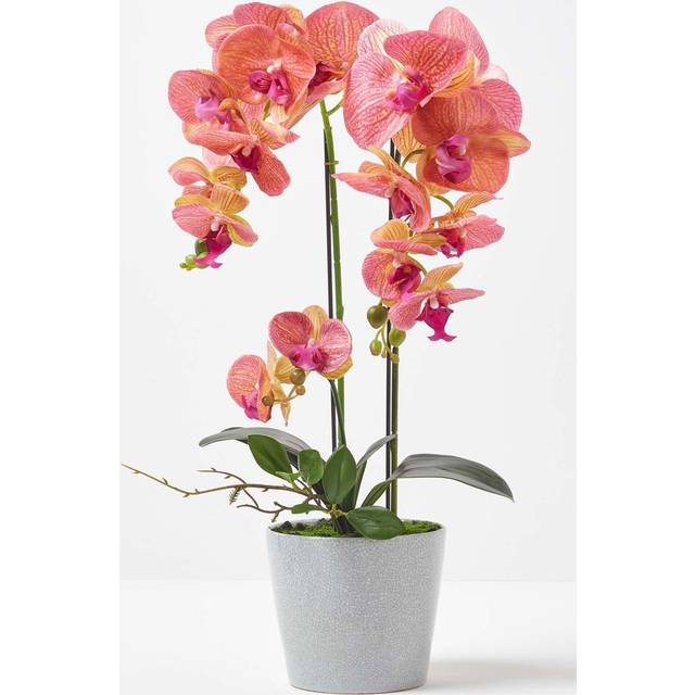 Homescapes Large 58cm Lifelike Artificial Orange Orchid in Grey Ceramic Pot - Orange