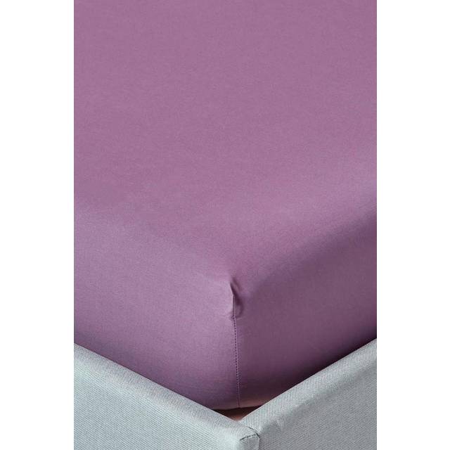 Homescapes 100% Egyptian Cotton 200 TC Double Fitted Sheet, 30 cm Deep, Grape Purple, Elasticated, Machine Washable, Hypoallergenic - Violet