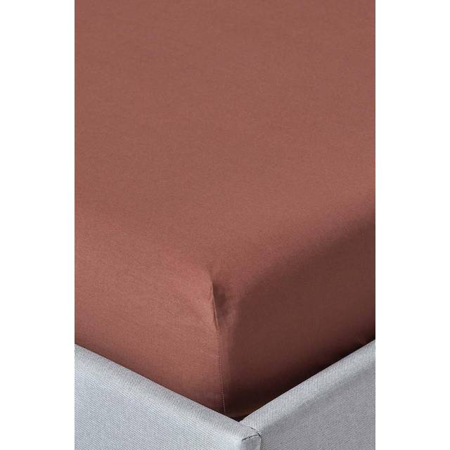 Homescapes 100% Egyptian Cotton 200 TC King Fitted Sheet, 30 cm Deep, Chocolate Brown, Elasticated, Machine Washable, Hypoallergenic