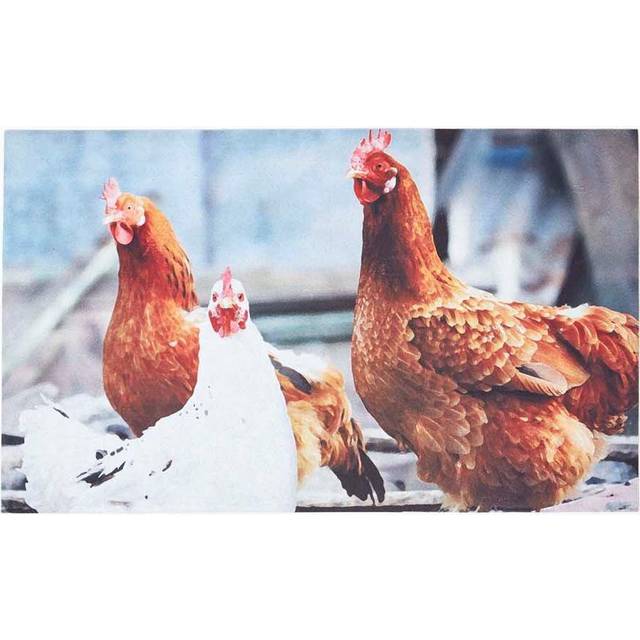 Homescapes Chicken Printed 100% Recycled Rubber Non-Slip Doormat - Multi Colour