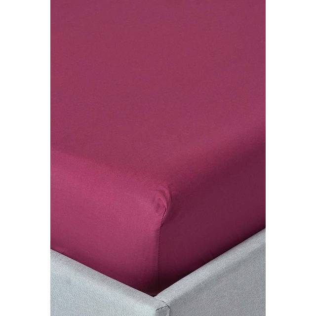 Homescapes 100% Egyptian Cotton 200 TC Super King Fitted Sheet, 30 cm Deep, Plum Purple, Elasticated, Machine Washable, Hypoallergenic