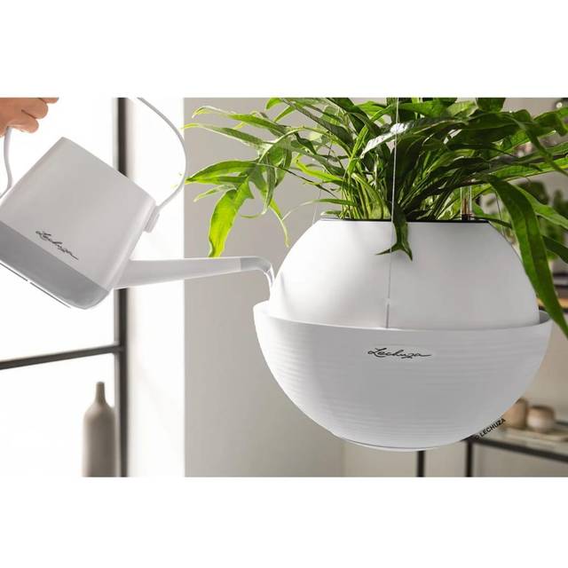 Lechuza hængende plantekrukke BOLA Color Krukke