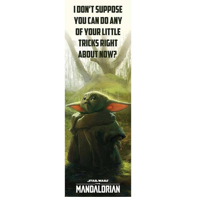 Star Wars: The Mandalorian Door Poster 307