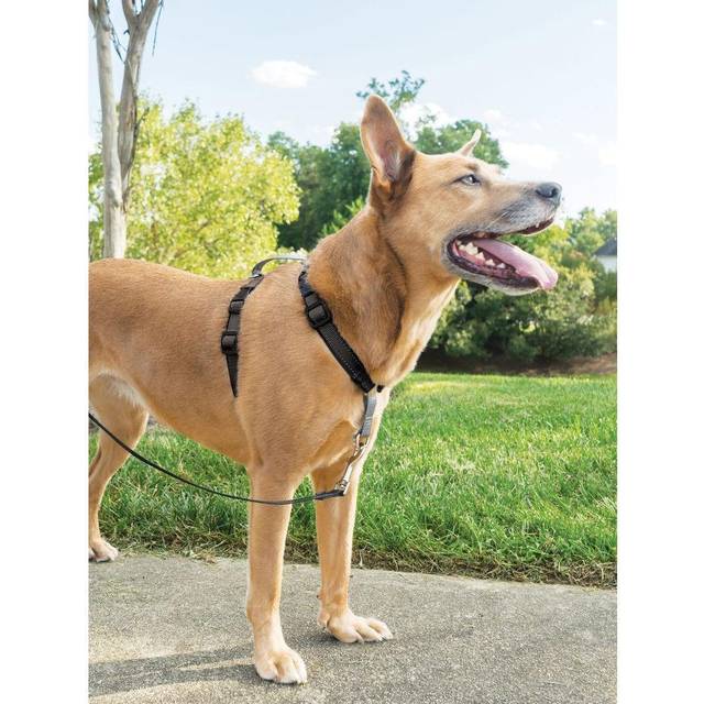 PetSafe 3 in 1 Harness and Car Restraint, Small