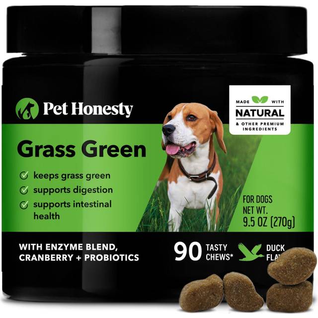 Pet Honesty  Grass Green  For Dogs  Duck  90 Soft Chews  9.5 oz (270 g)