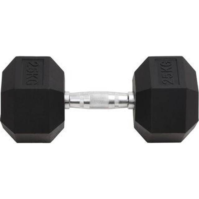 vidaXL Hantel 25 kg gjutjärn