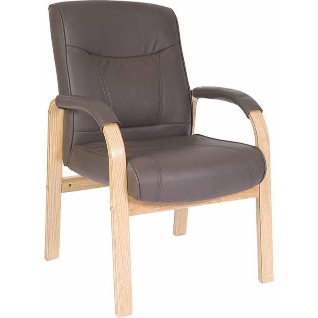 Teknik Richmond Visitor Brown Leather Chair