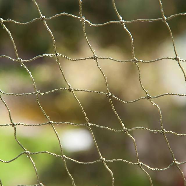 Cat Safety Net - Bite-Resistant & Wire-Reinforced - 2 x 1.5m