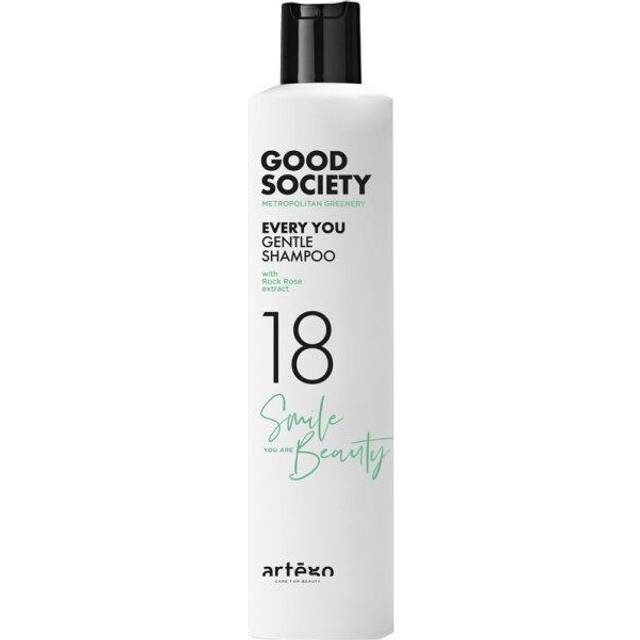 Artego Good Society Every Day Shampoo 78 250ml
