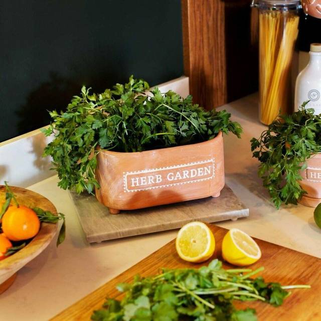 Sass & Belle Herb Garden Trough Planter - Terracotta - Natural