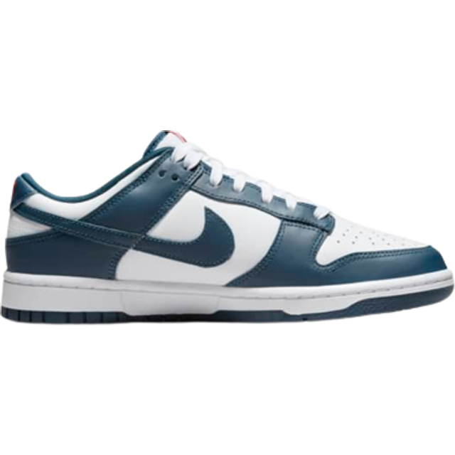 Nike Dunk Low Retro - Bl&#xE5;