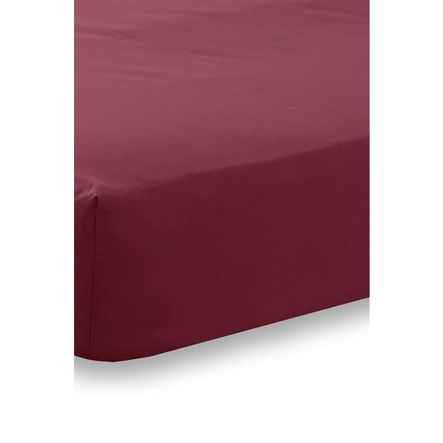 Martex Charlotte Thomas Poetry Plain Dye Fitted Sheet  - Single, Purple