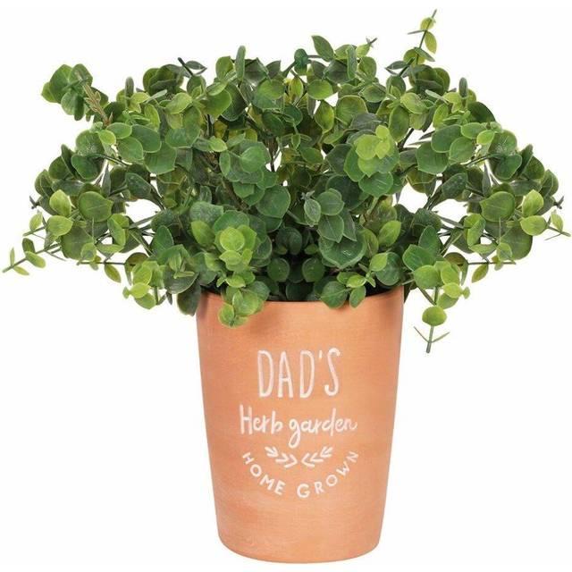 Dad's Terracotta Garden Plant Pot - orange - one size
