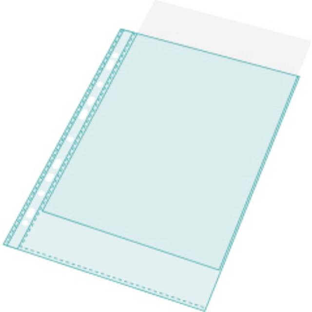Exacompta Punched Pockets A4 60 Micron 10 Pack of 10 Clear, Clear
