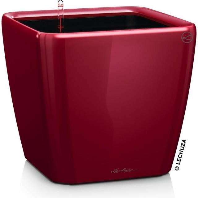 (Scarlet Red High Gloss , H20 L21 W21 cm) LECHUZA Table Planter Standing Flower Pot High Gloss White/Metallic Charcoal