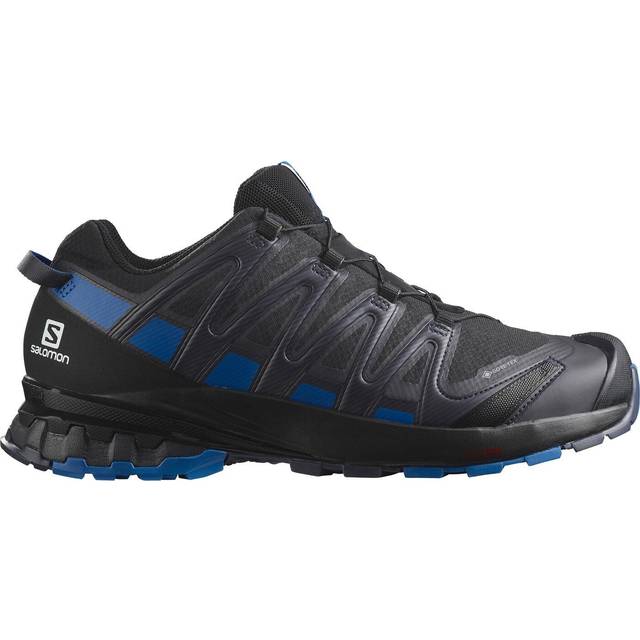 XA Pro 3D v8 GTX Shoe Black/blue Male