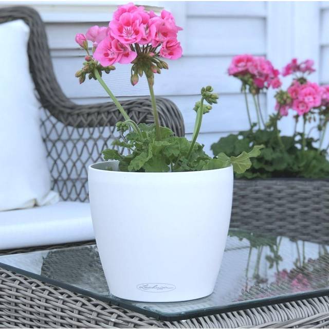 Lechuza plantekrukke CLASSICO Color 18 ALL-IN-ONE Krukke