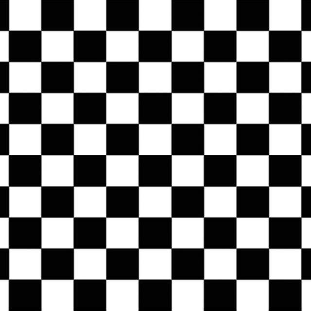 Checkered Backdrop Scene Setter by Windy City Novelties