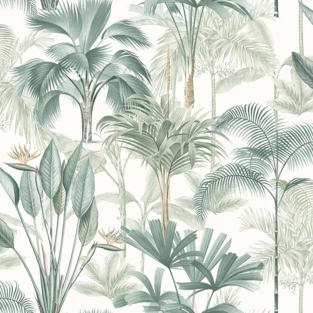 Arthouse King Palm Green Wallpaper Tropical Leaves Botanical White Modern