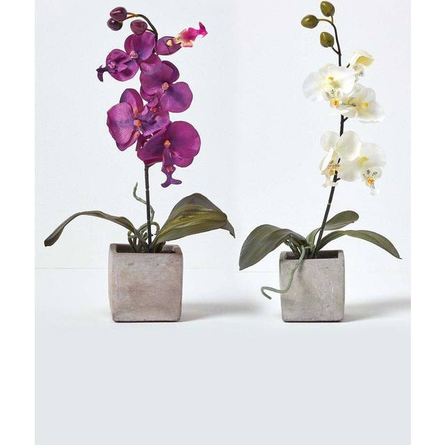Homescapes Set of 2 Pink & White Artificial Orchids in Pots 40 cm