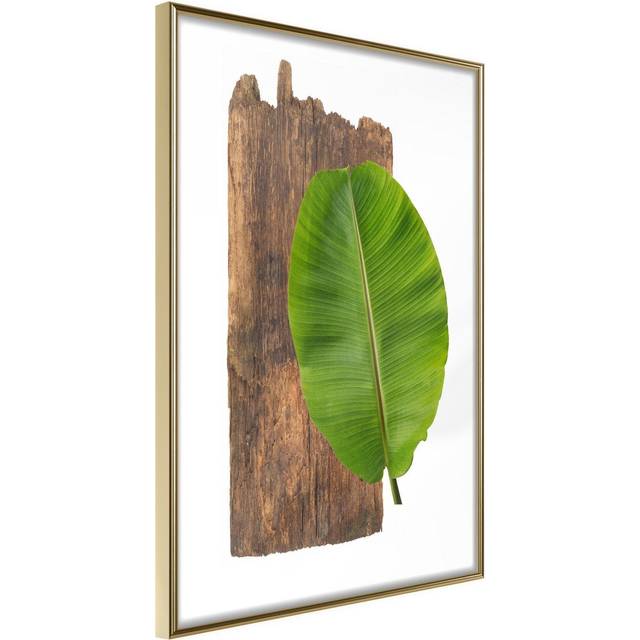 Inramad Poster / Tavla - Forest Nature - 40x60 Guldram