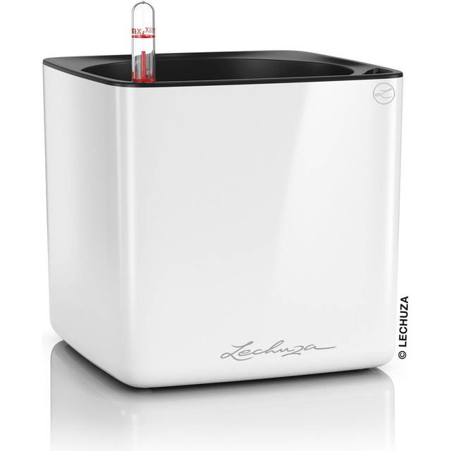 Cube Plastic Self-Watering Plant Pot - White (16 cm H x 17 cm W x 17 cm D)