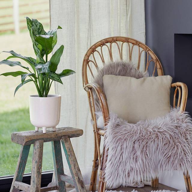 Lecce Speckled Plant Pot - White