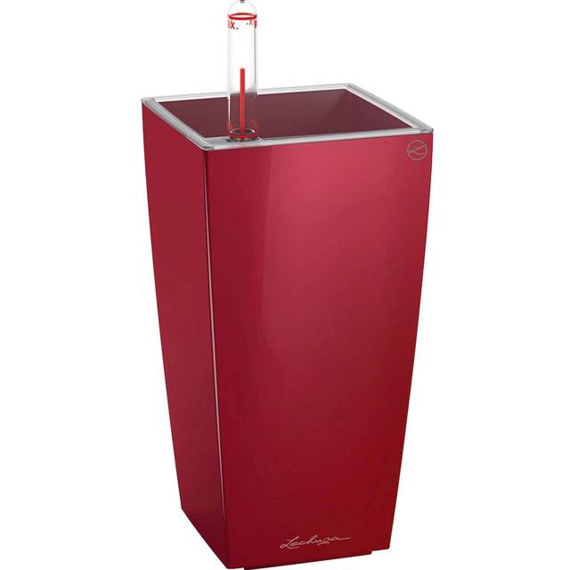 (Scarlet Red, H18 L9 W9 cm) LECHUZA MINI CUBI  and MAXI CUBI Table Poly Resin  Self-watering Planter with Substrate