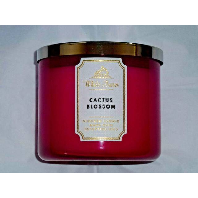 White Barn Bath and Body Works 3 Wick Scented Candle Cactus Blossom 14.5 Ounce