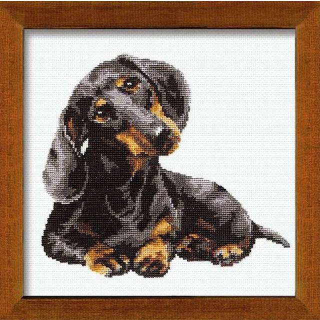 Riolis Counted Cross Stitch Kit Dachshund, Diy