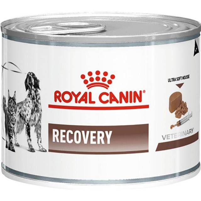 Royal Canin Gastro Intestinal Recovery Ultra Soft Mousse Can Våtfoder för Katter Och Hundar - 12x195 g