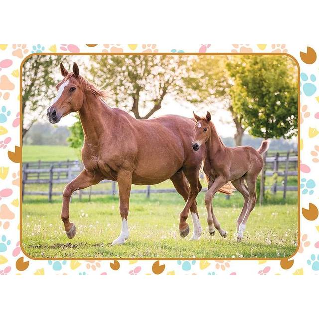 Mom and Baby Horse