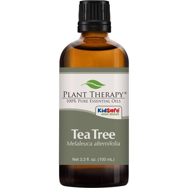 Plant Therapy Tea Tree Essential Oil 100% Pure  Undiluted  Natural Aromatherapy  Therapeutic Grade 100 mL 3.3 oz
