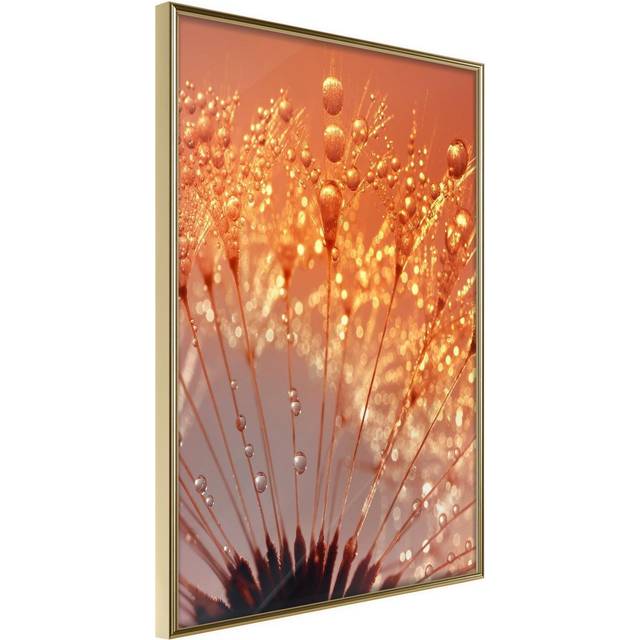 Inramad Poster / Tavla - Orange Breath of the Summer - 30x45 Guldram
