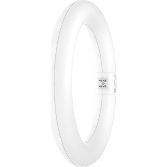 Ledvance T9 Circular LED Light Bulb LEDTUBE 4-Pin 11W (22W Eqv) Daylight